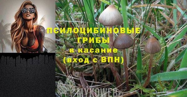 MESCALINE Баксан