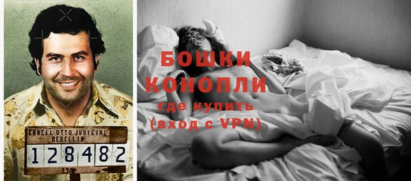 прущие крисы Костерёво