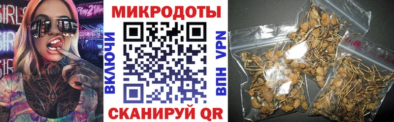 гидра ССЫЛКА  наркотики  Гаврилов-Ям  Галлюциногенные грибы Psilocybe 